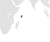 Seychelles gulper shark httpsuploadwikimediaorgwikipediacommonsbb