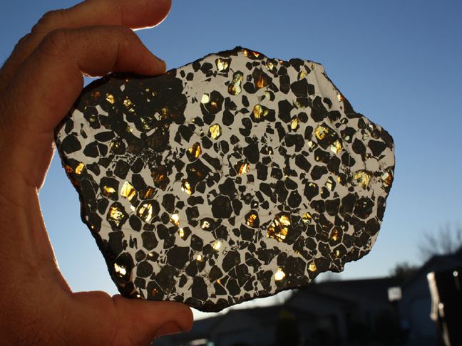 Seymchan (meteorite) Seymchan pallasite Meteorites For Sale Stoney iron meteorites for sale