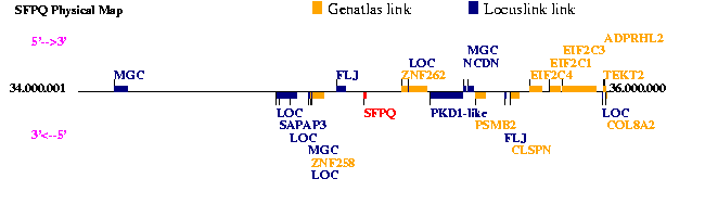 SFPQ Genatlas sheet