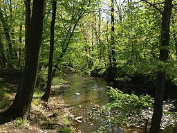 Shabakunk Creek httpsuploadwikimediaorgwikipediacommonsthu