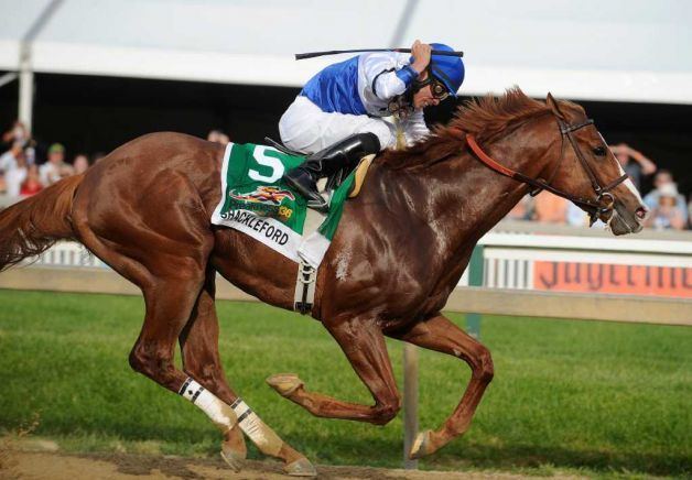 Shackleford (horse) Sports news Shackleford wins the Preakness