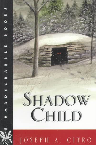 Shadow Child (novel) t2gstaticcomimagesqtbnANd9GcQGzspRTr2yIRM4Hb