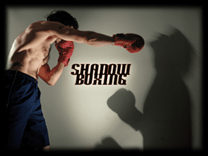 Shadowboxing Shadow Boxing Speed Bag
