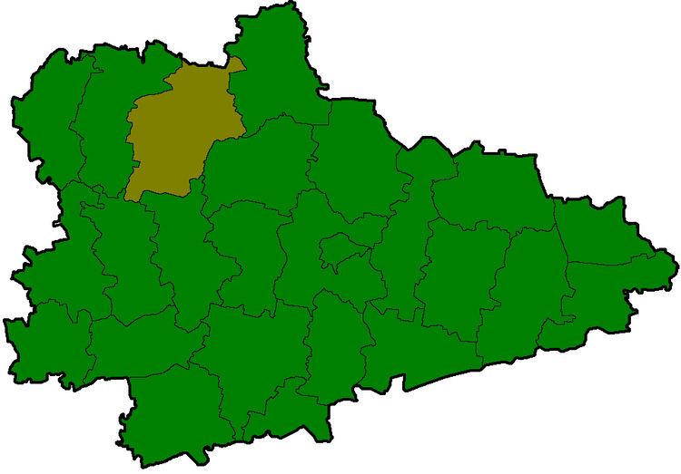 Shadrinsky District