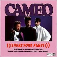 Shake Your Pants (album) httpsuploadwikimediaorgwikipediaen11eCam