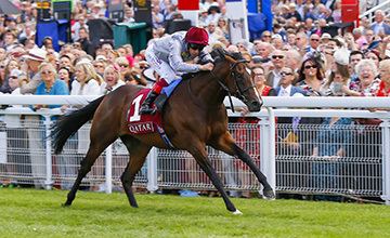 Shalaa Shalaa retired to stand at Haras de Bouquetot UK Bloodstock News