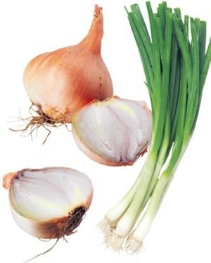 Shallot What Are Spring Onions Versus Shallots