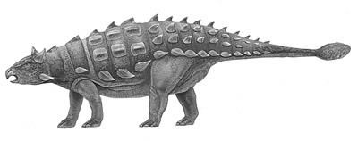 Shamosaurus wwwnhmacukresourcesnatureonlinelifedinosau