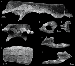Shamosuchus journalsplosorgplosonearticlefigureimagesiz