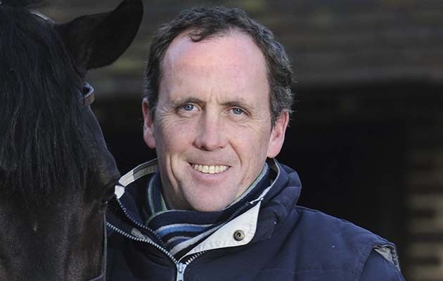 Shane Breen Top showjumper takes on 30 new horses Horse Hound