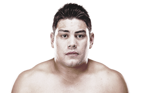 Shane del Rosario Shane Del Rosario Official UFC Fighter Profile
