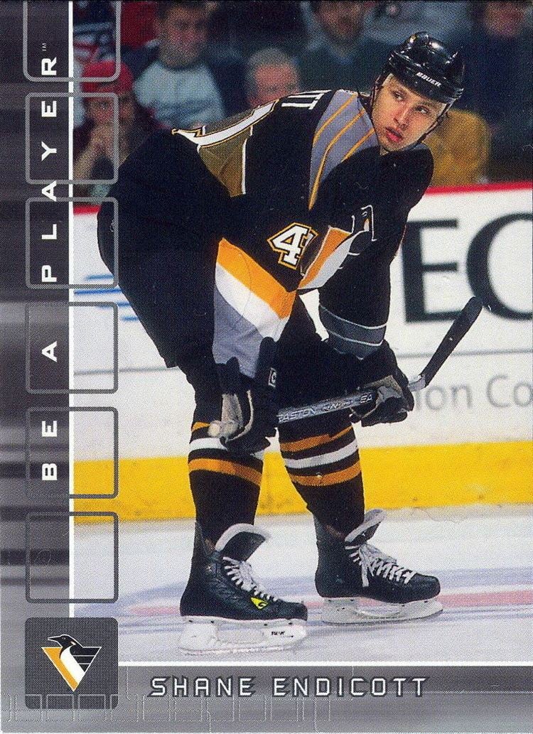 Shane Endicott Shane Endicott Players cards since 2001 2003 penguinshockey