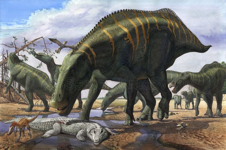 Shantungosaurus Shantungosaurus by atrox1 on DeviantArt