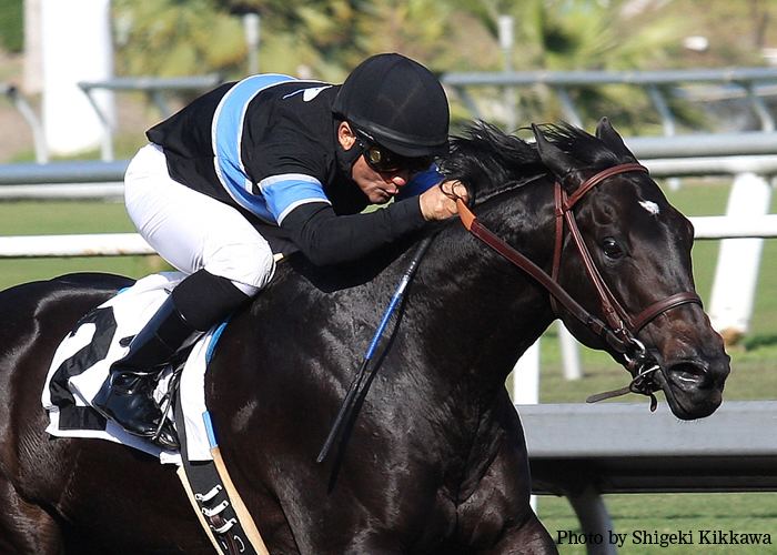 Shared Belief Shared Belief Daily Racing Form