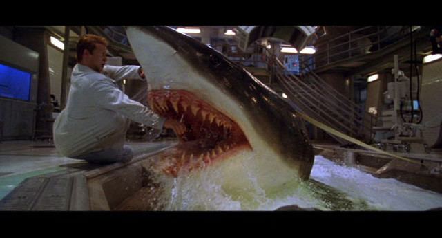 Shark Attack 3: Megalodon movie scenes Deep Blue Sea Shark Attack 
