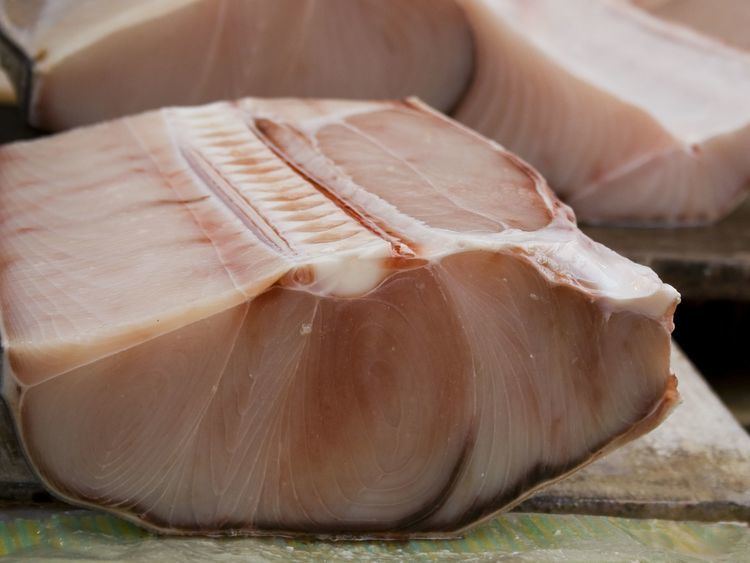 Eating Shark in the U.S.: Everything You Need to Know
