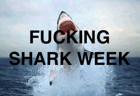 Shark Week shark week gifs Page 8 WiffleGif