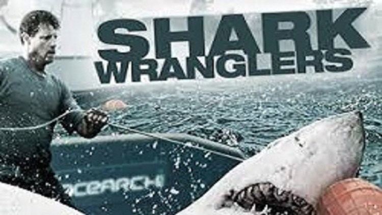 Shark Wranglers Shark Wranglers S1 E1 YouTube