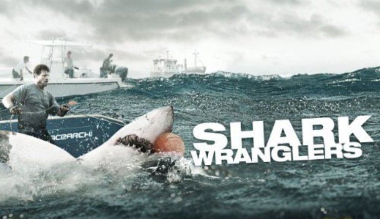 Shark Wranglers Shark Wranglers History Channel Africa Media
