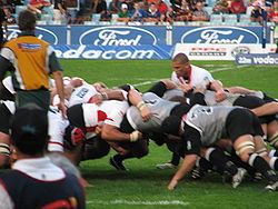 Sharks (rugby union) Sharks rugby union Wikipedia