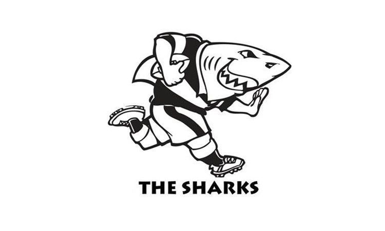 Sharks (rugby union) 1000 images about Rugby on Pinterest Patrick obrian Mondays and