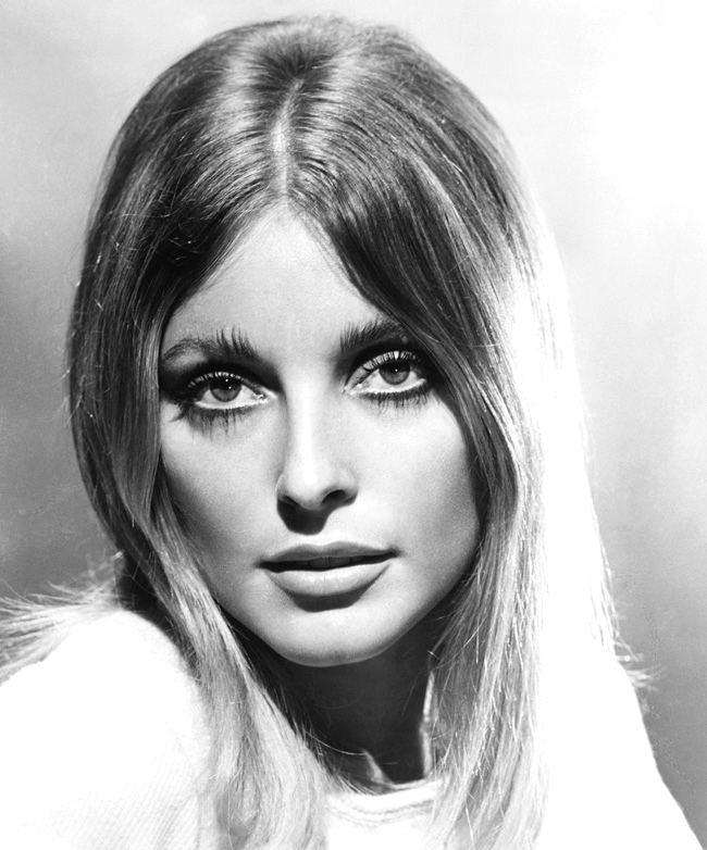 Sharon Tate httpsuploadwikimediaorgwikipediacommons66