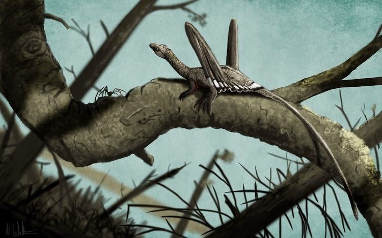 Sharovipteryx Mark Wittoncom Blog The weird awesome and weirdly awesome