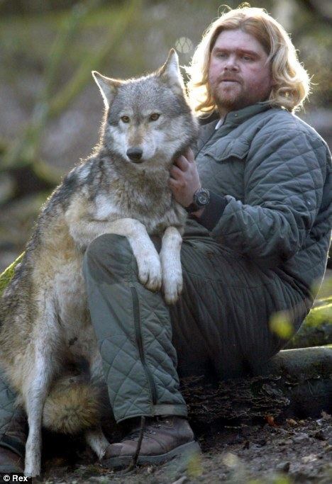 Shaun Ellis (wolf researcher) My life as a wolf by British naturalist who dared to
