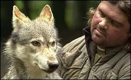 Shaun Ellis (wolf researcher) BBC Devon Features Devon man Shaun Ellis learns the language of