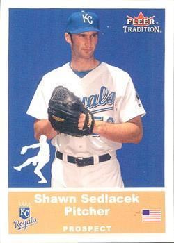 Shawn Sedlacek Shawn Sedlacek Gallery The Trading Card Database