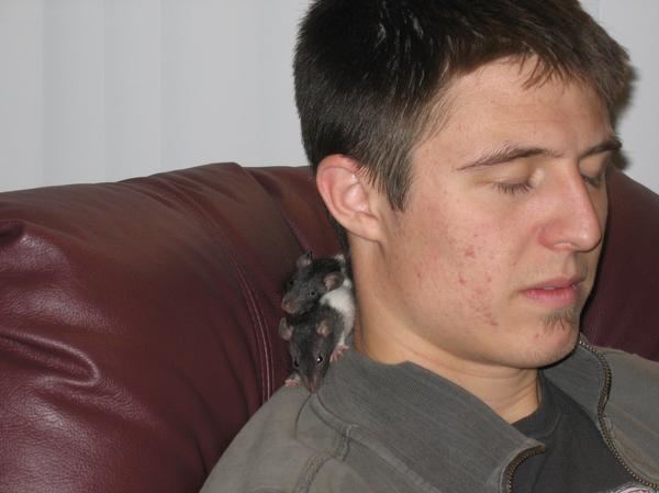 Shawn Toovey is sleeping and rats on his neck while wearing a gray jacket