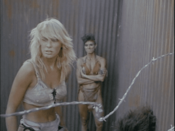 She-Wolves of the Wasteland Bullshit Movies She Wolves of the Wasteland 1988