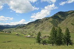 Shebalinsky District httpsuploadwikimediaorgwikipediacommonsthu