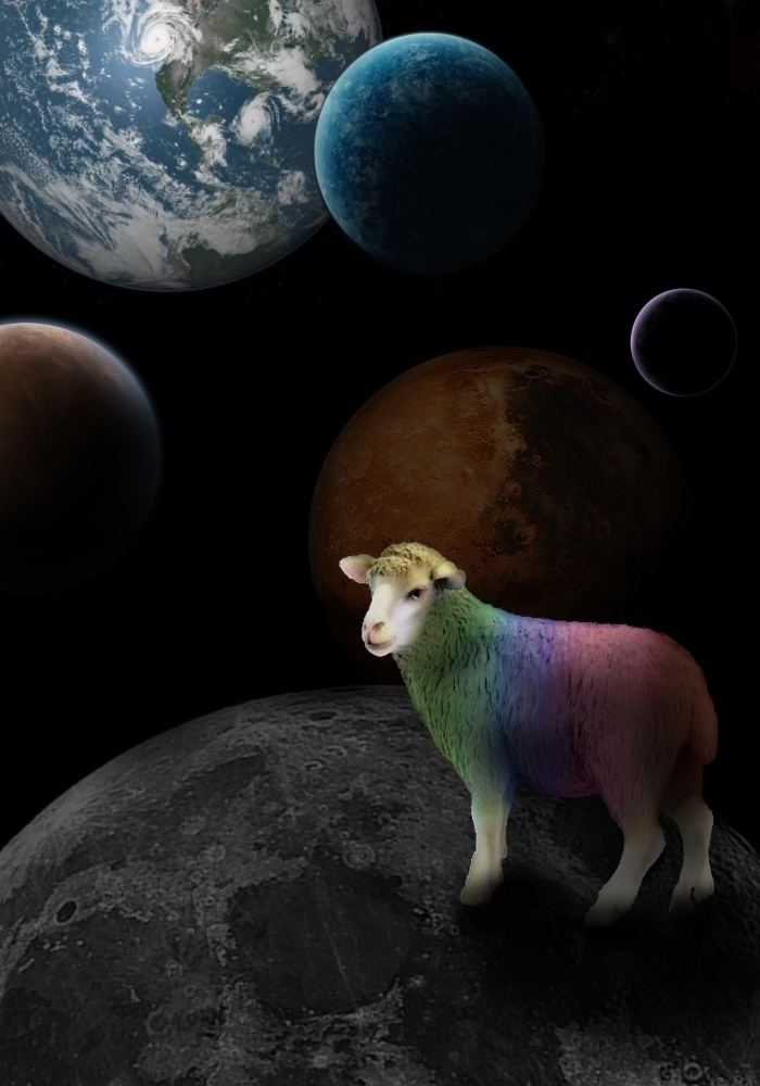 Sheep in Space Rainbow sheep in space Because I can by IAmRobin on DeviantArt