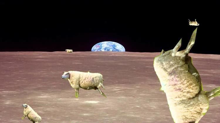 Sheep in Space Sheep in space YouTube
