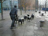 Sheep on the Road httpsuploadwikimediaorgwikipediacommonsthu