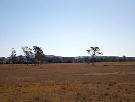 Sheep Station Creek, Queensland httpsuploadwikimediaorgwikipediacommonsthu