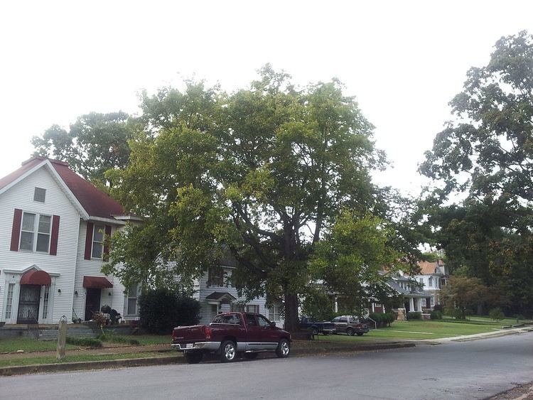Sheffield Residential Historic District
