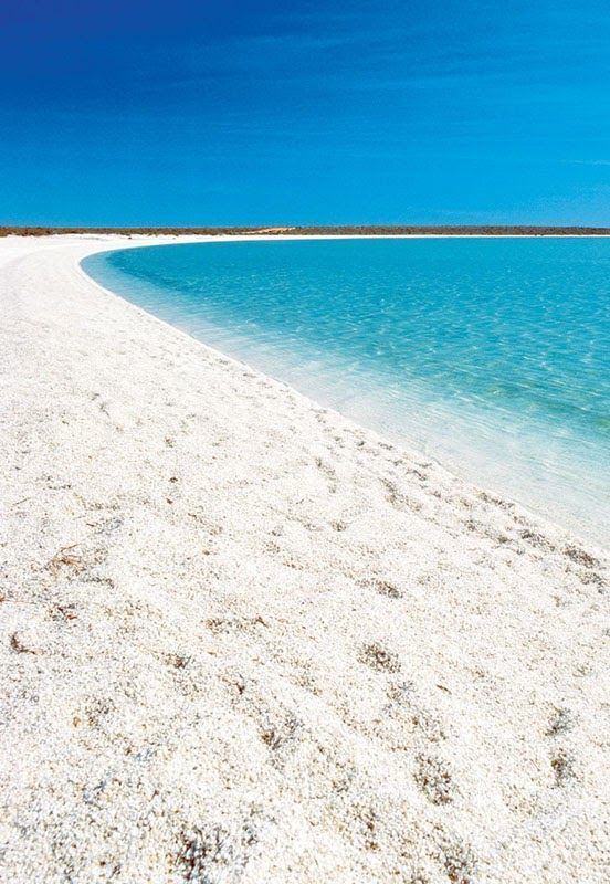 Shell Beach (Western Australia) Shell Beach in Shark Bay Western Australia As the name indicates