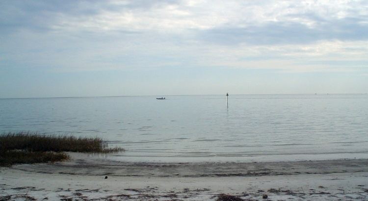 Shell Point, Florida Florida Oceanfront Real Estate Florida Oceanfront Property for Sale