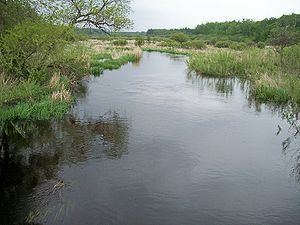 Shell River (Minnesota) httpsuploadwikimediaorgwikipediacommonsthu