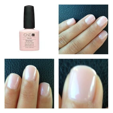 Shellac httpssmediacacheak0pinimgcom736xecca22