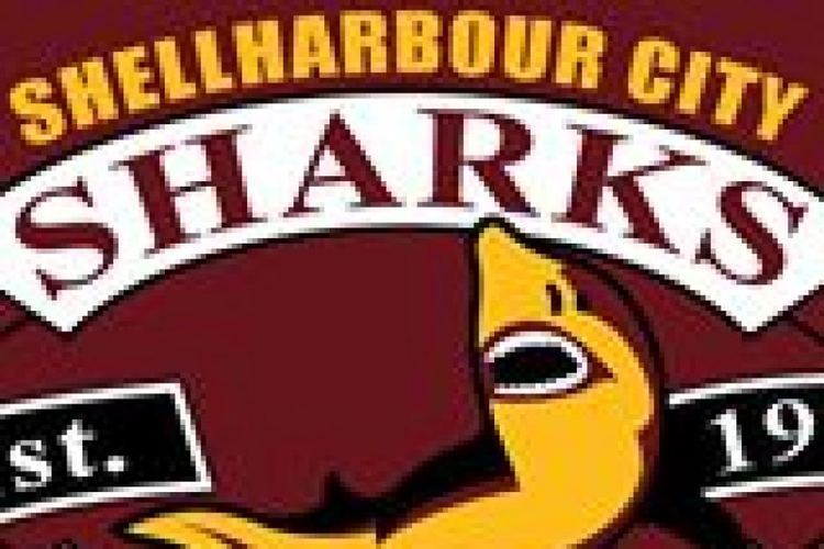 Shellharbour Sharks Shellharbour Sharks logo ABC News Australian Broadcasting