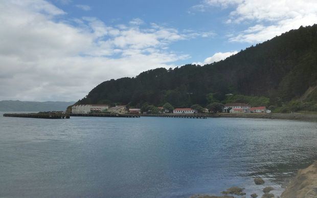 Shelly Bay Shelly Bay special housing area approved Radio New Zealand News