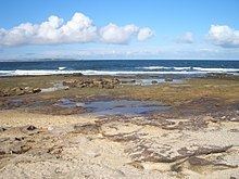 Shelly Beach (Cronulla) httpsuploadwikimediaorgwikipediacommonsthu
