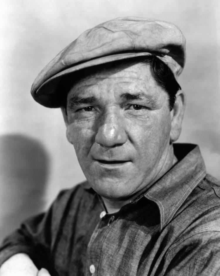 Shemp Howard Shemp Howard Biography and Filmography 1895