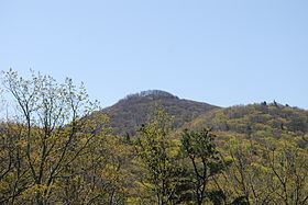 Shenandoah Mountain httpsuploadwikimediaorgwikipediacommonsthu