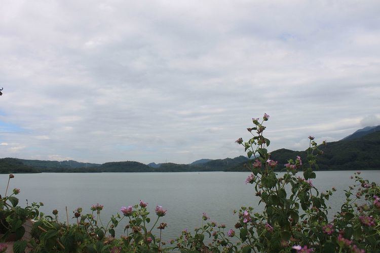 Shenzhen Reservoir