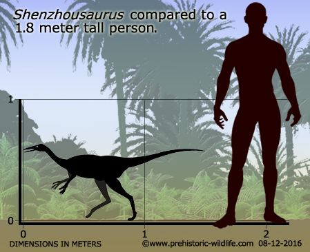 Shenzhousaurus Shenzhousaurus