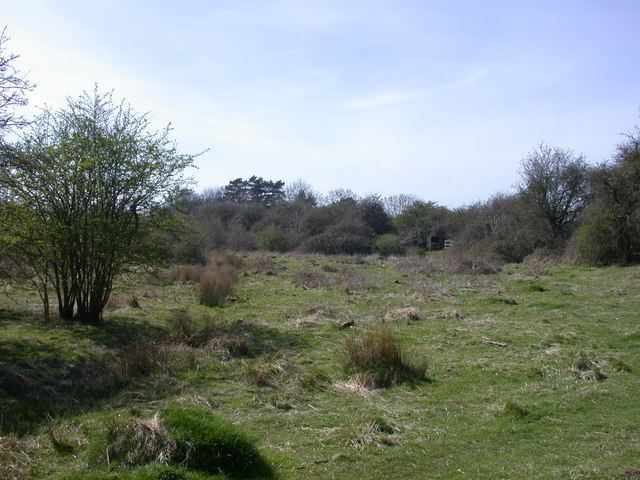 Shepreth L-moor